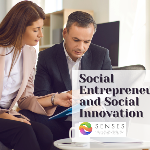 Social Entrepreneurship and Social Innovation