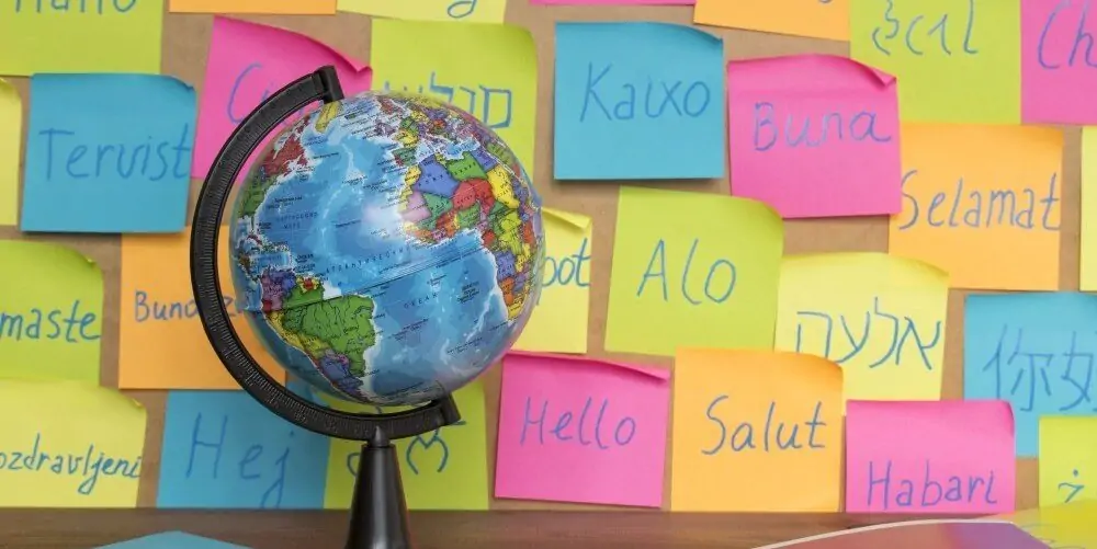 Exploring Language Challenges in Our Multilingual Classroom